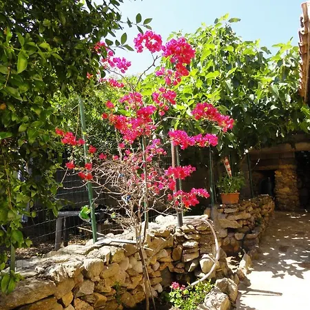 King's Ξενοδοχείο 2*